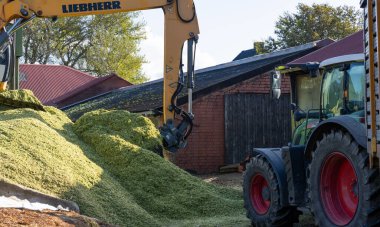 Hamburg, Almanya - 11 Ekim 2023: Liebherr kazıcısı ve mısır hasadı sırasında Fendt Vario traktörü