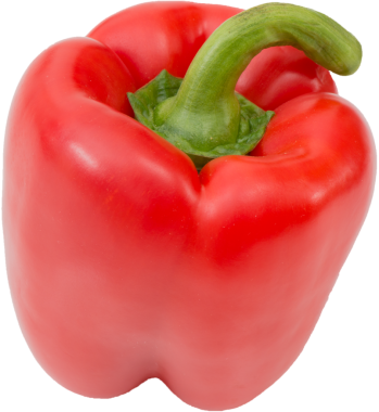 kırmızı biber, şeffaf arkaplanda kırpma png 'si olarak