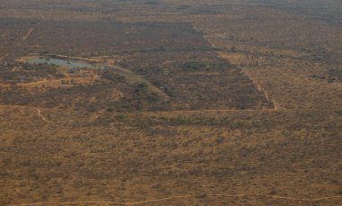 Aerial view Landscape - Flora Botany Bush in Kruger National Park South Africa clipart