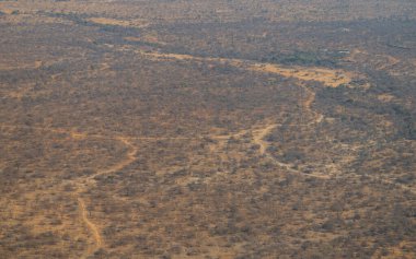 Aerial view Landscape - Flora Botany Bush in Kruger National Park South Africa clipart