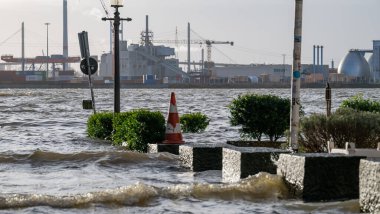 Hamburg, Almanya - 22 Aralık 2023: Hamburg St. Pauli balık pazarı müzayede salonunda fırtına dalgası ve Elbe seli