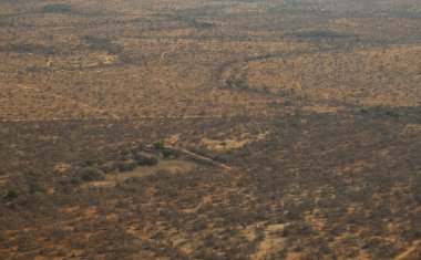 Aerial view Landscape - Flora Botany Bush in Kruger National Park South Africa clipart