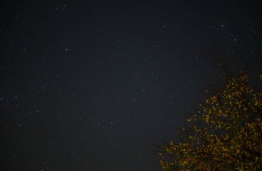 Astrofotoğrafçılık, Kruger Ulusal Parkı 'ndan yıldızlı gökyüzü. 