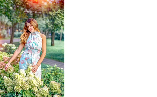 フロリストリーの概念 アジサイの庭で花のプリントで夏のドレスの女の子とバナー シティパークの背景 植物だ 右側のスペースをコピー — ストック写真