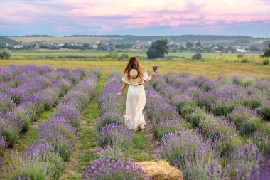 Beyaz elbiseli ve şapkalı bir kız lavanta tarlasında yürüyor, arkadan manzaralı. Arka plan gökyüzü ve pembe günbatımı. Provence, Fransa. Seyahat konsepti. Boşluğu kopyala
