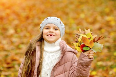 Beyaz, sevimli bir kız, ön dişleri olmayan bir gülümseme, örülmüş gri bir biet ve bir buket sonbahar yaprağı. Autumn Park arka planı bulanık. Çocukluk kavramı