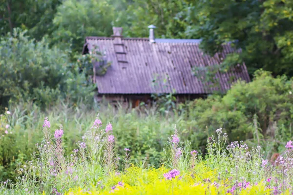 Belles Fleurs Jardin Lumineux Saison Floraison Vue Panoramique Village Avec — Photo