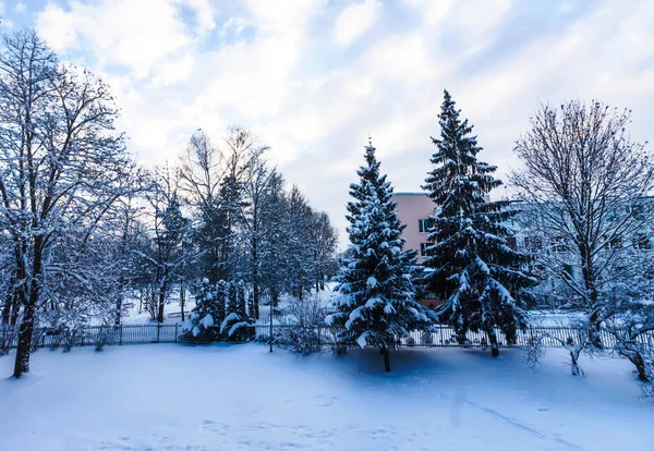 雪に覆われた木々と冬の都市景観 — ストック写真
