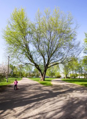 Bahar parkının manzarası. Çiçekler açtı..