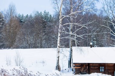 Mevsimlik doğa geçmişi. Kış doğası detayları