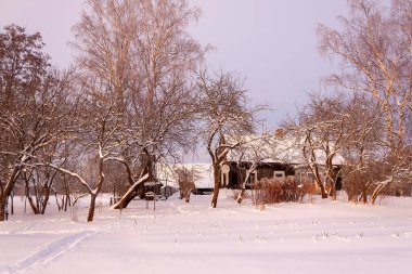 Mevsimlik doğa geçmişi. Kış doğası detayları