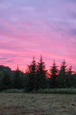 Gün batımında çimen çayırı. Manzaralı doğa manzarası. Kırsalda bir yaz akşamı. Bulutlu parlak gökyüzü.
