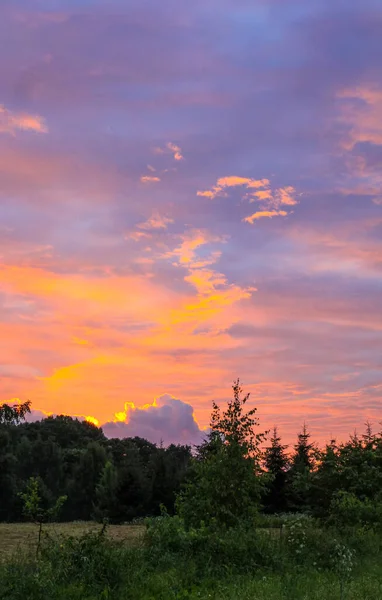Gün batımında çimen çayırı. Manzaralı doğa manzarası. Kırsalda bir yaz akşamı. Bulutlu parlak gökyüzü.
