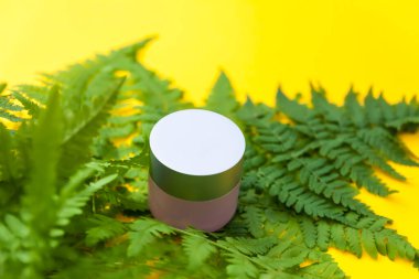 Plastik konteynır ve yeşil eğreltiotu yaprakları parlak sarı arka planda.