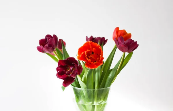 Bouquet of tulip flowers in transparent vase. Beautiful spring plants in flowering season. Minimalistic floral design.