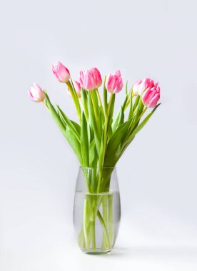 Pink tulip flowers. Beautiful spring floral composition. Romantic background with flowers.