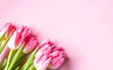 Pink tulip flowers. Beautiful spring floral composition. Romantic background with flowers.