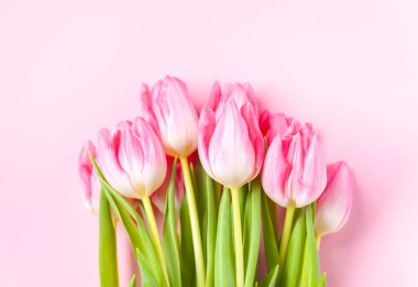 Pink tulip flowers. Beautiful spring floral composition. Romantic background with flowers.