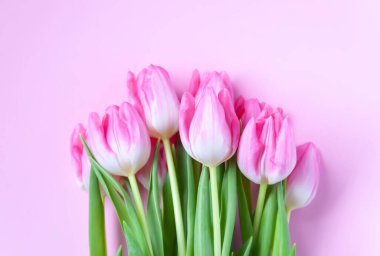 Pink tulip flowers. Beautiful spring floral composition. Romantic background with flowers.