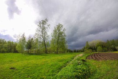 Rural landscape. Spring in the countryside. Latvia, Europe. Plowed field and green grass.