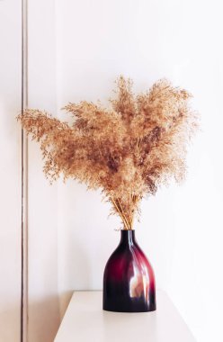 Pampas grass in a purple ceramic vase. Dried reeds on a white background. Home decor in the modern minimalist style interior.