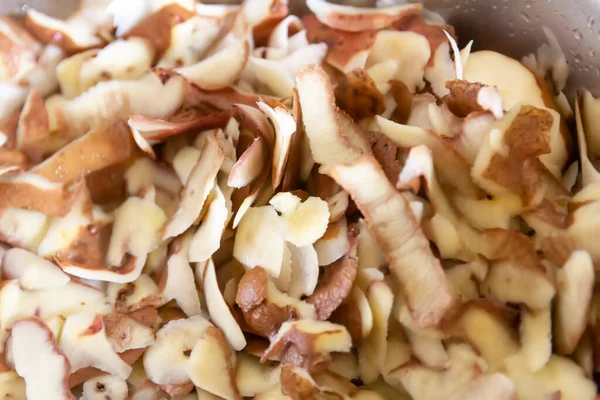 Organic Fertilizer Food Scraps Potato Peels — Stock Photo, Image