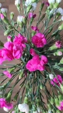 Pembe karanfil çiçek yakın çekim. 