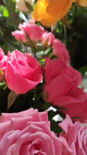 Piękny Bukiet Kwiatów Róży Ogrodowej — Wideo stockowe