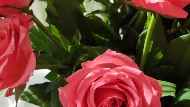 庭の美しい花束は花をバラ — ストック動画