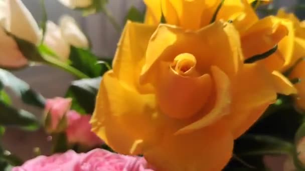 Прекрасный Букет Цветов Садовых Роз — стоковое видео