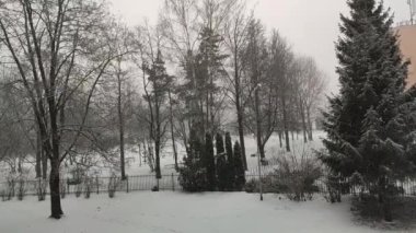 Kış doğası. Şehir parkı manzarası 
