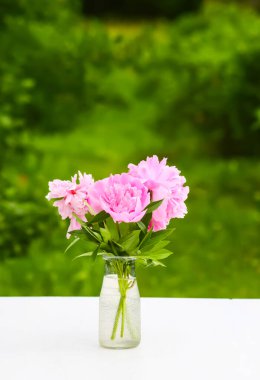 Pembe şakayıklar. Vazodaki güzel bahar çiçekleri.