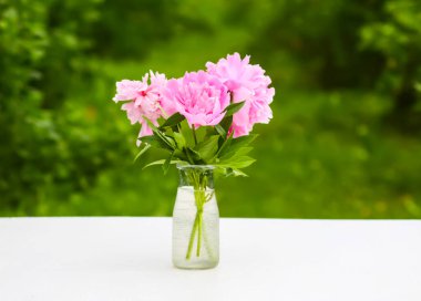 Pembe şakayıklar. Vazodaki güzel bahar çiçekleri.