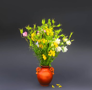 Çiçek açmış güzel bahçe çiçekleri. Çiçek mevsiminde dekoratif bitkiler.