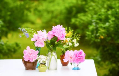 Pembe şakayıklar. Çiçek mevsiminde güzel bahar çiçekleri.