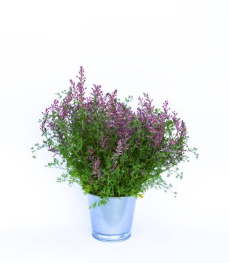 Vazoda bir buket kır çiçeği. Çiçek dekoru.