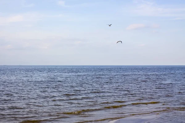 Wybrzeże Morza Bałtyckiego Wietrzny Wiosenny Dzień Jurmala Łotwa — Zdjęcie stockowe
