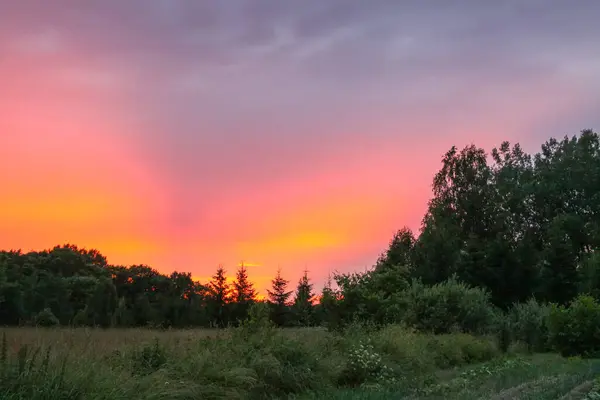 Paisagem Letónia Vista Panorâmica Natureza Sob Luz Pôr Sol Hora — Fotografia de Stock