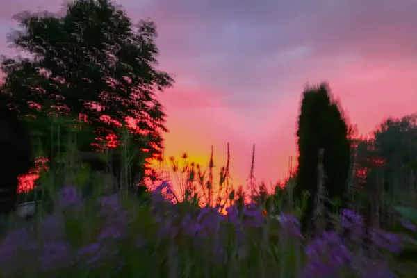 Landschap Letland Scenic Natuurzicht Bij Zonsondergang Licht Zomertijd Het Platteland — Stockfoto