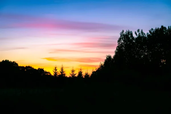 ラトビアの風景 日没の光の中で風景自然景観 田舎の夏 — ストック写真