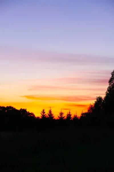 拉脱维亚的风景 日落时的自然景观 在农村度过的夏天 — 图库照片