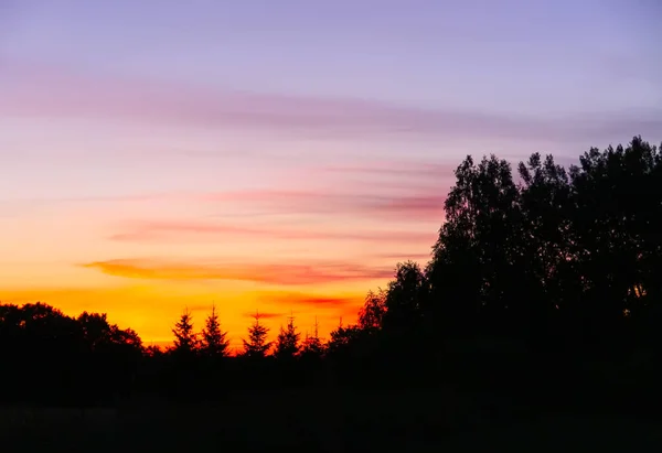 ラトビアの風景 日没の光の中で風景自然景観 田舎の夏 — ストック写真