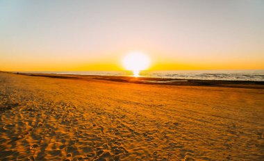 Gün batımında Baltık Denizi. Kumsalda sıcak, altın bir akşam ışığında.