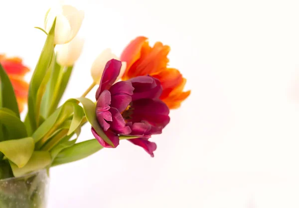 Ramo Flores Tulipán Decoración Floral Vacaciones — Foto de Stock
