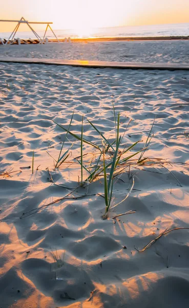 日落时分 波罗的海 桑迪海滩在温暖的金色夜光中 — 图库照片