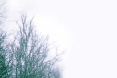 Bulanık odaklı arka plan. Kış mevsiminde doğal arka plan.