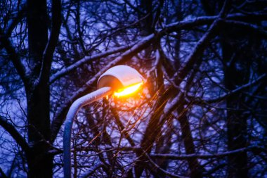 Şehir parkında bir gece. Karla kaplı arka planda fener.