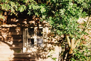 Güneş ışığında eski ahşap bir duvar.