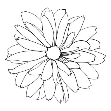 Soyut karalama süsü. Mandala deseni. Vektör illüstrasyonu.