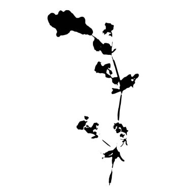 Bitki izi. Beyaz arka planda bitkisel elementin siyah silueti. Vektör botanik ayrıntıları.